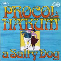 A Salty Dog