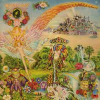 Only Parrots Frogs and Angels
