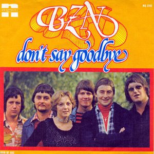 Don't say Goodbye