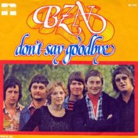 Don't say Goodbye