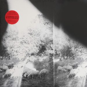 GODSPEED YOU BLACK EMPEROR ASUNDER SWEET AND OTHER DISTRESS (180 GR)