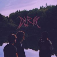 DLRM THE DLRM (2LP)