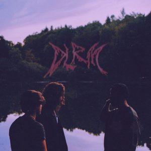 DLRM THE DLRM (2LP)