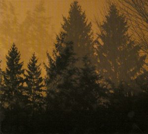 If These Trees Could Talk Above The..