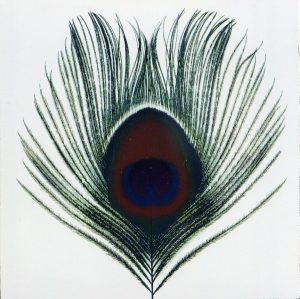 Xtc Apple Venus Vol.Ii..