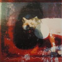 Mogwai As The Love Continues