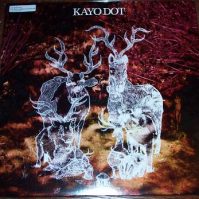 KAYO DOT BLUE LAMBENCY DOWNWARD