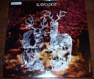 KAYO DOT BLUE LAMBENCY DOWNWARD