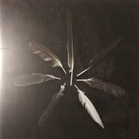 CASPIAN DUST & DISQUIET (COLOR)