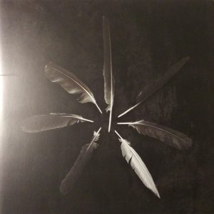 CASPIAN DUST & DISQUIET (COLOR)