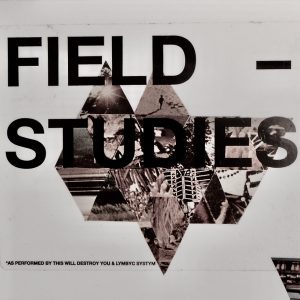 THIS WILL DESTROY YOU/LYMBYC SYSTYM FIELD STUDIES