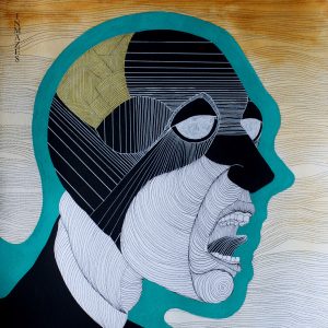Vola Inmazes