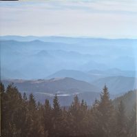 MAYBESHEWILL FEELING IS FINAL (2LP)