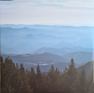 MAYBESHEWILL FEELING IS FINAL (2LP)