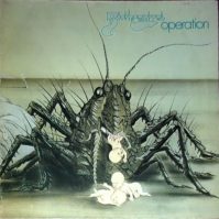 Birth Control Operation