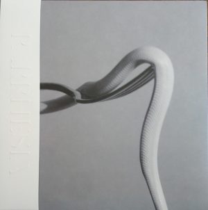 Animals As Leaders Parrhesia