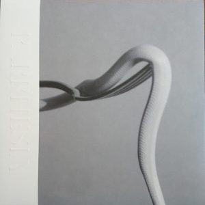 Animals As Leaders Parrhesia