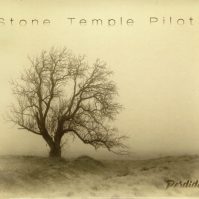 STONE TEMPLE PILOTS PERDIDA