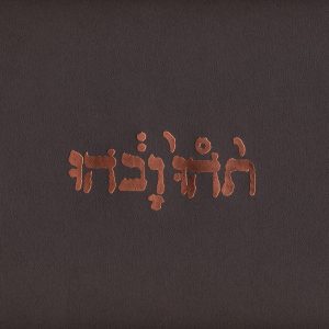 GODSPEED YOU BLACK EMPEROR SLOW RIOT FOR NEW ZERO KANADA