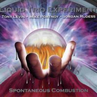 Liquid Trio Experiment Spontaneous Combustion