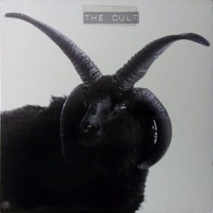 Cult Cult