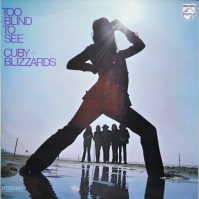 Cuby & Blizzards Too Blind To See