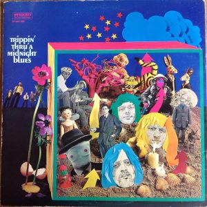 Cuby & Blizzards Trippin' Thru' A..