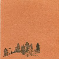THIS WILL DESTROY YOU YOUNG MOUNTAIN (10TH ANN. EDITION)