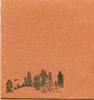 THIS WILL DESTROY YOU YOUNG MOUNTAIN (10TH ANN. EDITION)